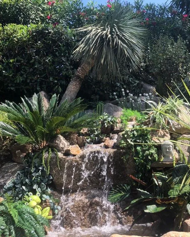 Aménagement de l'extérieur d'une maison, Cogolin, Instinct Nature