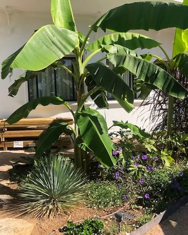 Aménagement de l'extérieur d'une maison, Cogolin, Instinct Nature