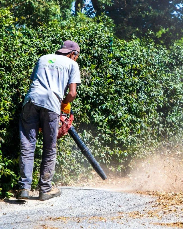 Réalisation de l'entretien d'un jardin d'un particulier, Cogolin, Instinct Nature