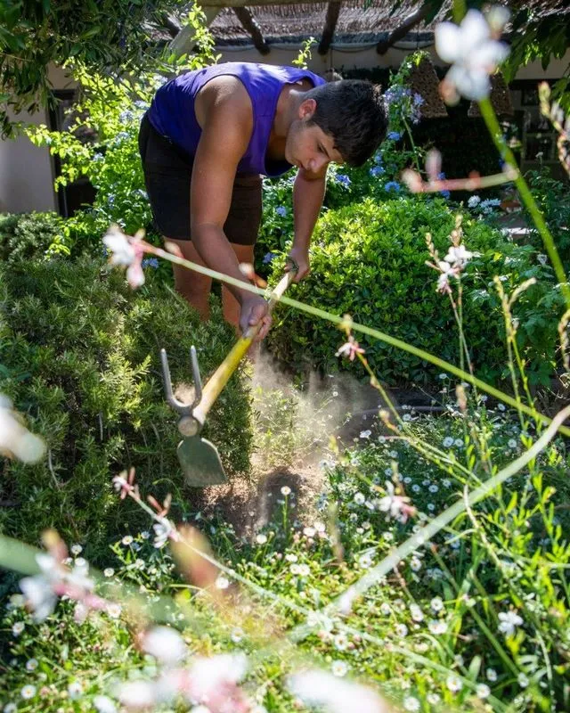 Réalisation de l'entretien d'un jardin d'un particulier, Cogolin, Instinct Nature