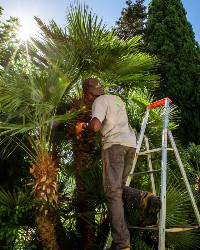 Réalisation de l'entretien d'un jardin d'un particulier, Cogolin, Instinct Nature